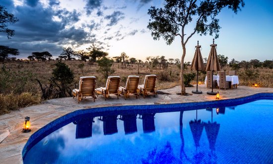 Nimali Tarangire lodge | Luxury Lodge | Tanzania Wildlife Safari