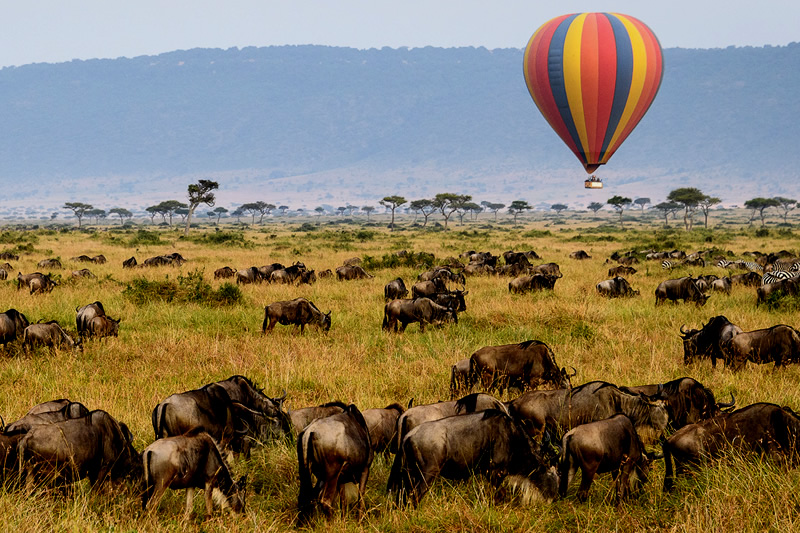 Top Tanzania Safaris from Arusha