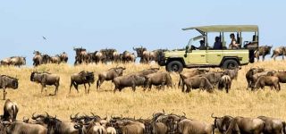 4 Days Tarangire and Serengeti Migration Safari