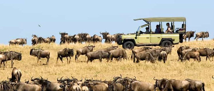 5 Days Tanzania Luxury Safari